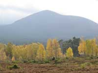 view from The Cabin