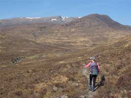culligran